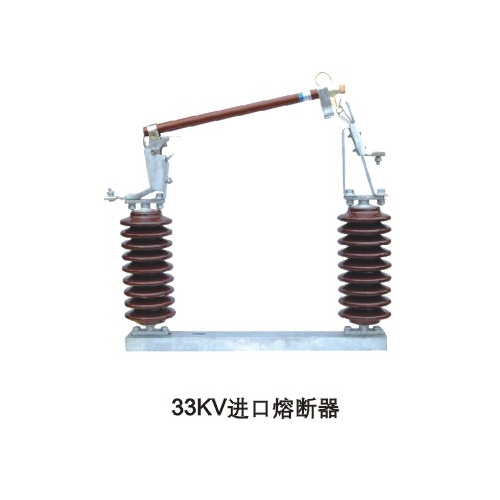 33KV进口熔断器