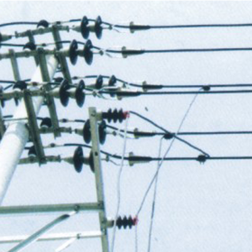 1kV系列产品（低压系列）